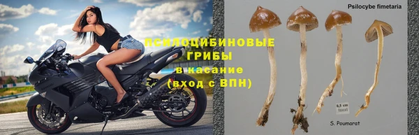 2c-b Красноперекопск
