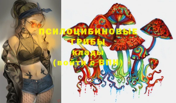крисы Шали