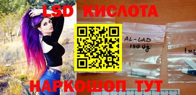 прущие грибы Будённовск