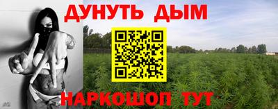 прущие грибы Будённовск