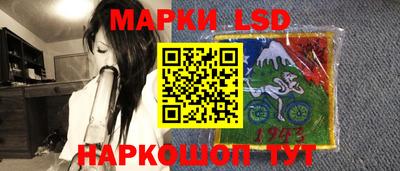 прущие грибы Будённовск