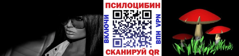 закладки  Нижнекамск  Псилоцибиновые грибы прущие грибы 