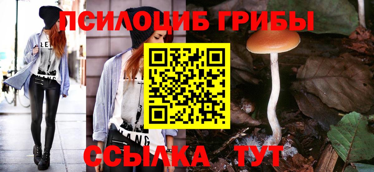 Нижнекамск  Псилоцибиновые грибы MAGIC MUSHROOMS  Вход с VPN 